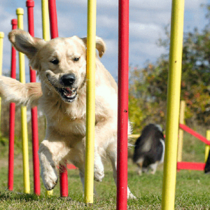 10H-Training singolo