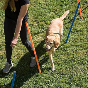 10H-Training con lezione