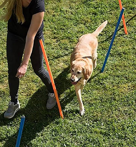 10H-Training con lezione